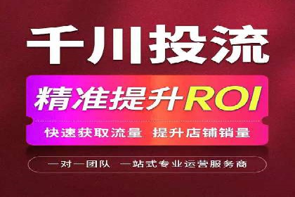 SEM广告投放案例：打造品牌影响力
